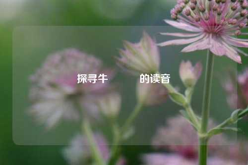 探寻牛牪犇犇的读音