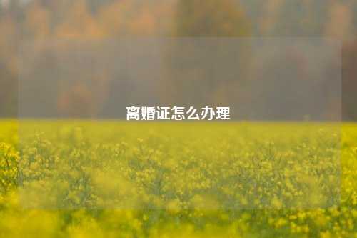 离婚证怎么办理