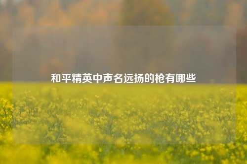 和平精英中声名远扬的枪有哪些