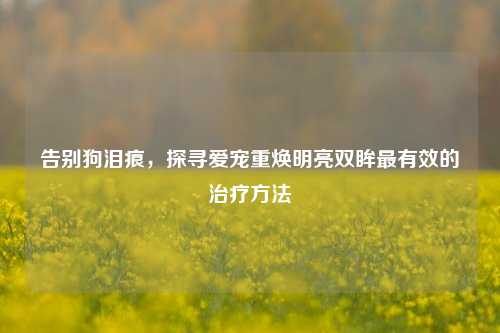 告别狗泪痕，探寻爱宠重焕明亮双眸最有效的治疗方法