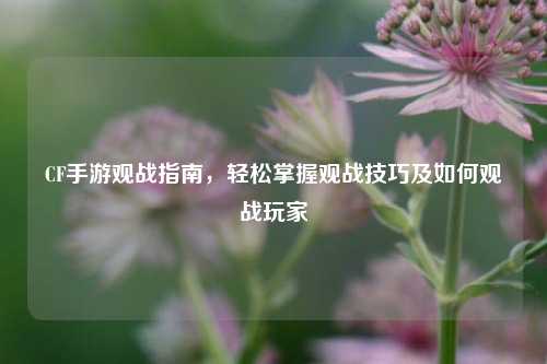 CF手游观战指南，轻松掌握观战技巧及如何观战玩家