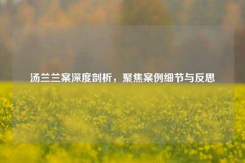 汤兰兰案深度剖析，聚焦案例细节与反思