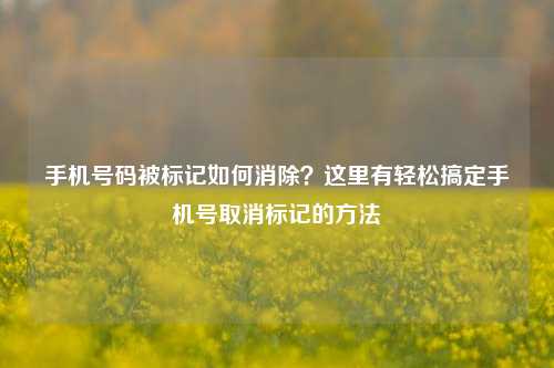 手机号码被标记如何消除？这里有轻松搞定手机号取消标记的方法