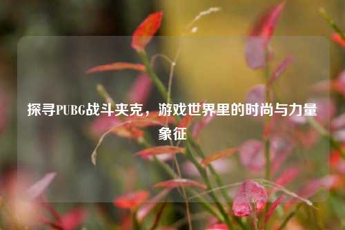 探寻PUBG战斗夹克,游戏世界里的时尚与力量象征
