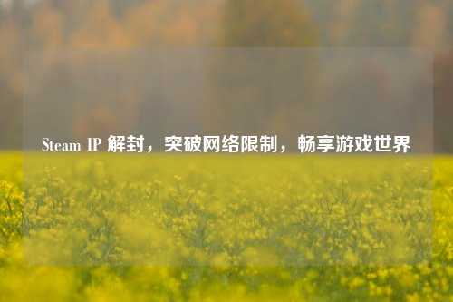 Steam IP 解封,突破网络限制,畅享游戏世界