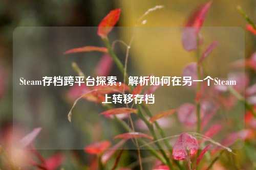 Steam存档跨平台探索,解析如何在另一个Steam上转移存档