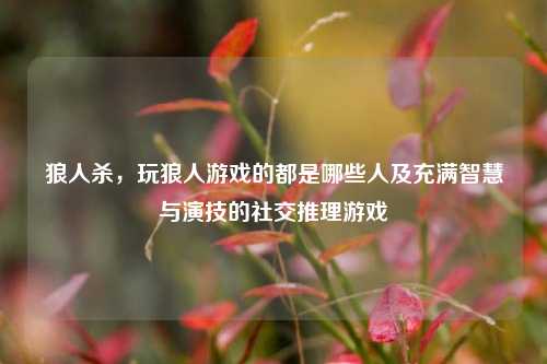 狼人杀，玩狼人游戏的都是哪些人及充满智慧与演技的社交推理游戏