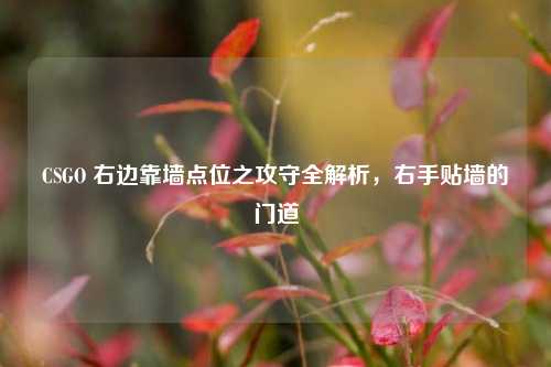CSGO 右边靠墙点位之攻守全解析,右手贴墙的门道