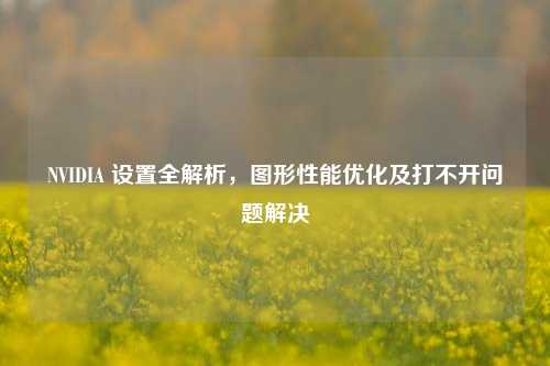 NVIDIA 设置全解析，图形性能优化及打不开问题解决