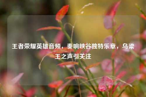 王者荣耀英雄音频,奏响峡谷独特乐章,乌梁王之声引关注