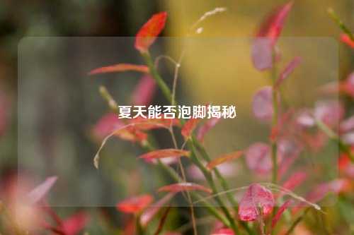 夏天能否泡脚揭秘
