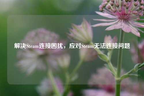解决Steam连接困扰,应对Steam无法连接问题