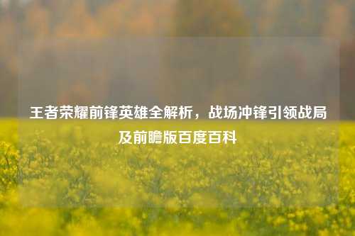 王者荣耀前锋英雄全解析,战场冲锋引领战局及前瞻版百度百科