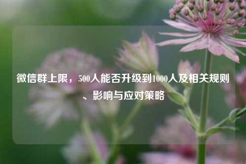 微信群上限,500人能否升级到1000人及相关规则、影响与应对策略