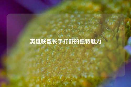 英雄联盟长手打野的独特魅力