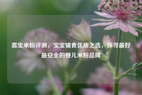 嘉宝米粉评测,宝宝辅食优质之选,探寻最好最安全的婴儿米粉品牌