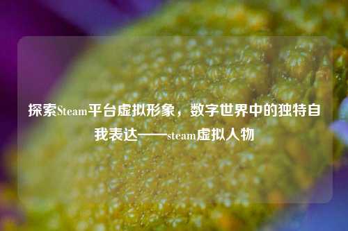 探索Steam平台虚拟形象，数字世界中的独特自我表达——steam虚拟人物