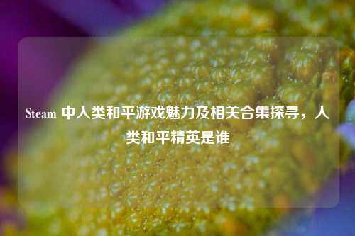 Steam 中人类和平游戏魅力及相关合集探寻,人类和平精英是谁