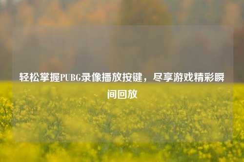 轻松掌握PUBG录像播放按键，尽享游戏精彩瞬间回放