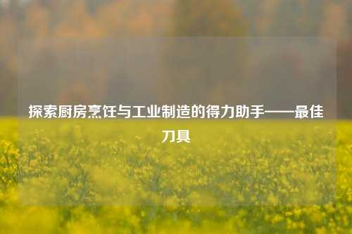 探索厨房烹饪与工业制造的得力助手——最佳刀具