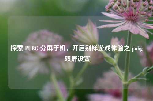 探索 PUBG 分屏手机，开启别样游戏体验之 pubg 双屏设置