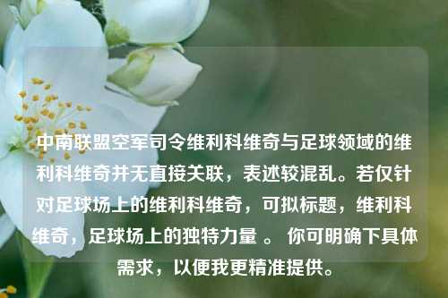 中南联盟空军司令维利科维奇与足球领域的维利科维奇并无直接关联，表述较混乱。若仅针对足球场上的维利科维奇，可拟标题，维利科维奇，足球场上的独特力量 。 你可明确下具体需求，以便我更精准提供。