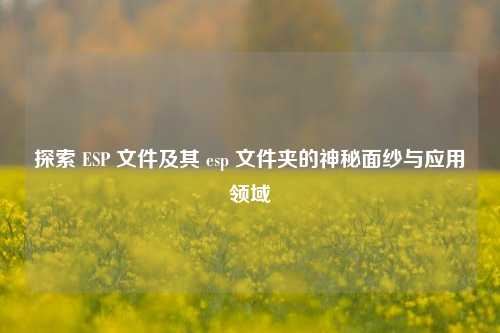 探索 ESP 文件及其 esp 文件夹的神秘面纱与应用领域