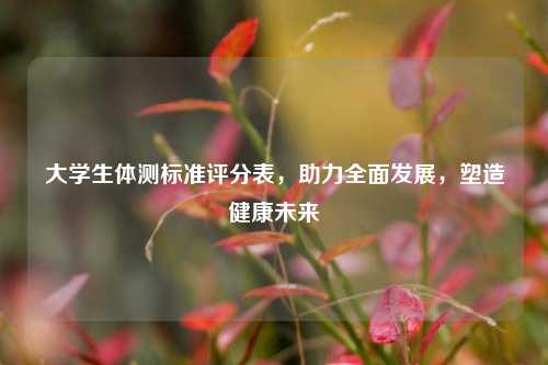 大学生体测标准评分表，助力全面发展，塑造健康未来