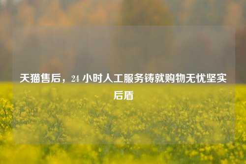 天猫售后,24 小时人工服务铸就购物无忧坚实后盾