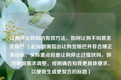 让狗停止吠叫的有效方法,如何让狗不叫甚至变哑巴 (此标题需指出让狗变哑巴并非合理正常目标,实际重点应是让狗停止过度吠叫,你可根据需求调整,或明确告知我更具体要求,以便我生成更契合的标题)