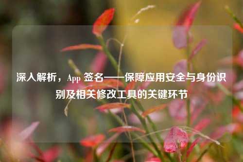 深入解析,App 签名——保障应用安全与身份识别及相关修改工具的关键环节