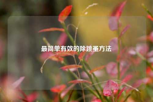 最简单有效的除跳蚤方法