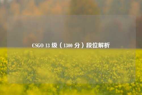 CSGO 13 级(1300 分)段位解析