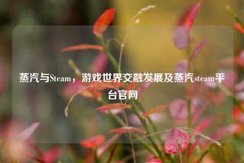 蒸汽与Steam,游戏世界交融发展及蒸汽steam平台官网