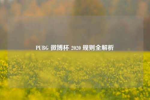 PUBG 微博杯 2020 规则全解析