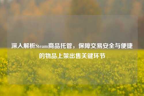深入解析Steam商品托管，保障交易安全与便捷的物品上架出售关键环节