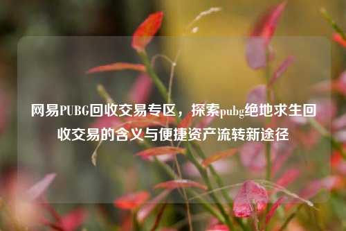 网易PUBG回收交易专区,探索pubg绝地求生回收交易的含义与便捷资产流转新途径