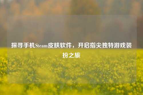 探寻手机Steam皮肤软件，开启指尖独特游戏装扮之旅