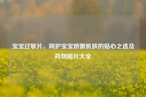 宝宝过敏片，呵护宝宝娇嫩肌肤的贴心之选及药物图片大全