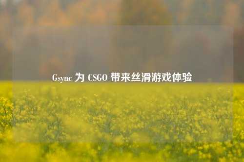 Gsync 为 CSGO 带来丝滑游戏体验