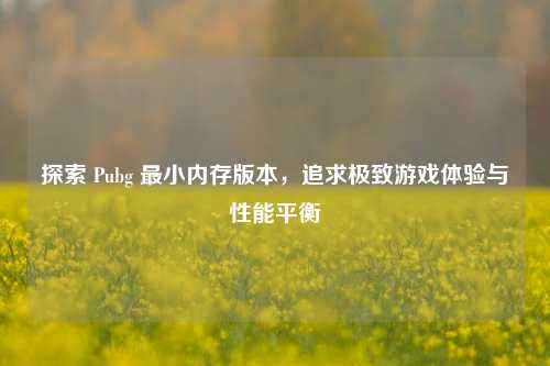 探索 Pubg 最小内存版本，追求极致游戏体验与性能平衡