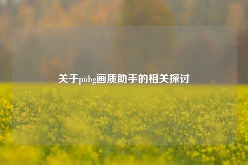 关于pubg画质助手的相关探讨