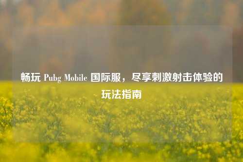 畅玩 Pubg Mobile 国际服，尽享刺激射击体验的玩法指南