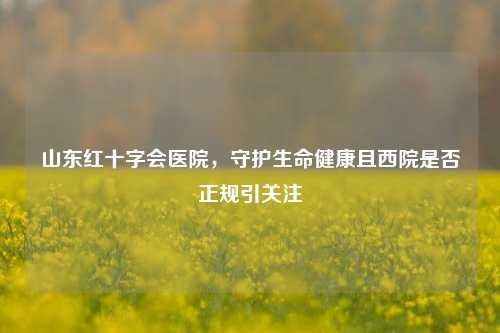 山东红十字会医院，守护生命健康且西院是否正规引关注