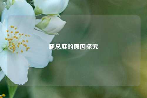 腿总麻的原因探究