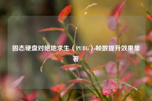固态硬盘对绝地求生(PUBG)帧数提升效果显著