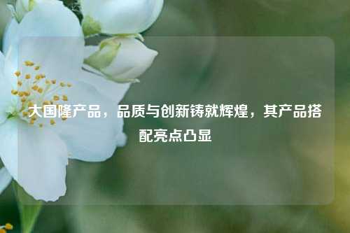 大国隆产品,品质与创新铸就辉煌,其产品搭配亮点凸显