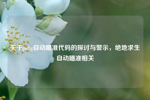 关于pubg自动瞄准代码的探讨与警示,绝地求生自动瞄准相关