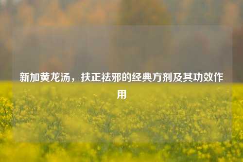 新加黄龙汤,扶正祛邪的经典方剂及其功效作用