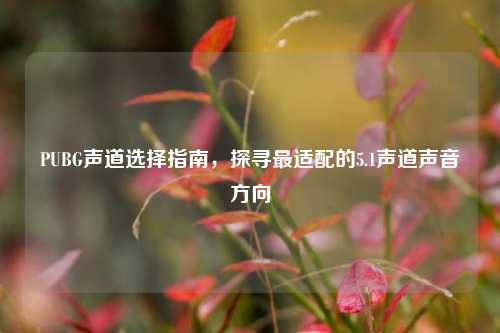 PUBG声道选择指南，探寻最适配的5.1声道声音方向